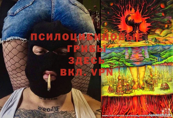 apvp Верея