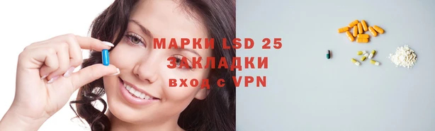 apvp Верея