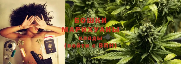apvp Верея
