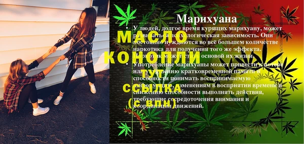 apvp Верея