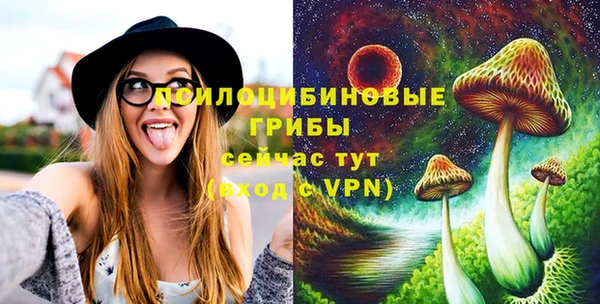apvp Верея