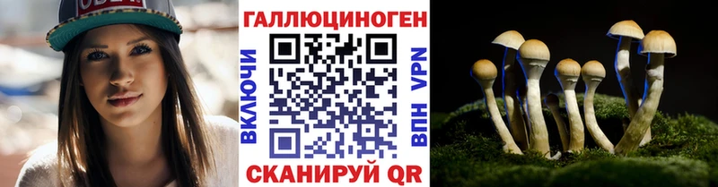 маркетплейс клад Ульяновск Галлюциногенные грибы GOLDEN TEACHER наркошоп